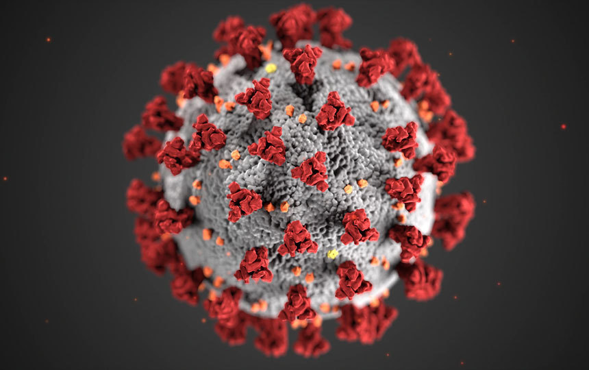 Covid molecule
