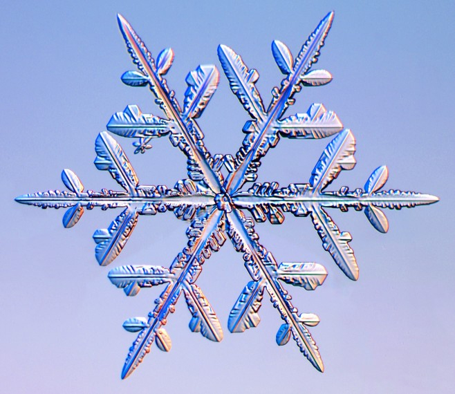 closeup of a snowflake