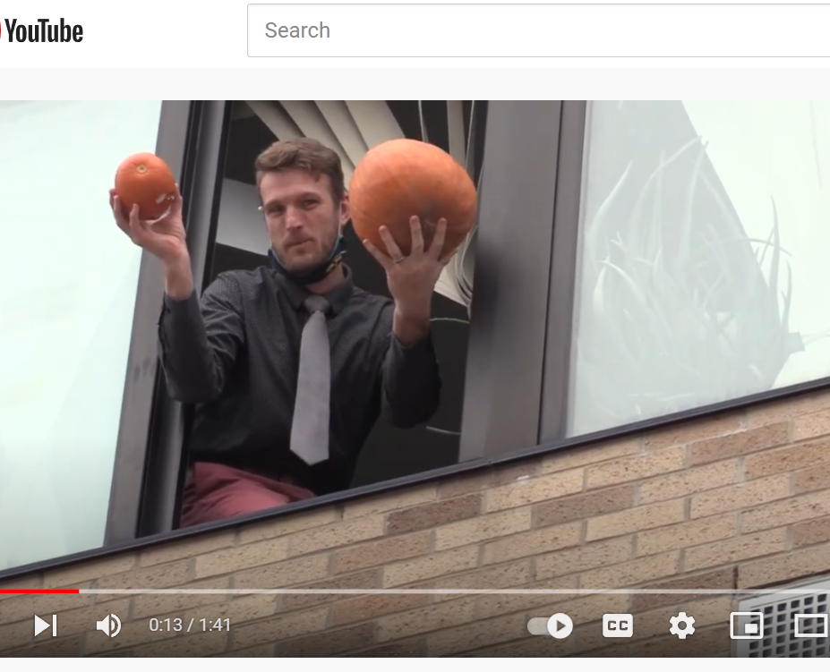 Man, shirt and tie, leaning out window, holding two pumpkins